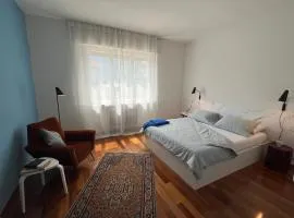 DueOlivi - Appartamento Blue