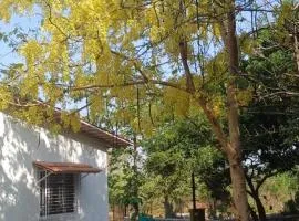 Farmstay in Karjat along canal side in Mango orchard