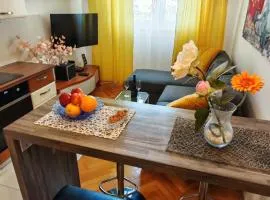 Apartman Nenad