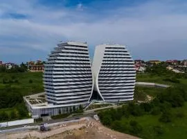 Wings Panorama