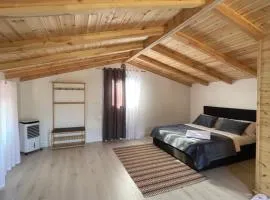Guest house Panorama