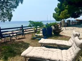 The House by the Sea