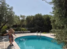 Tranquil Haven with Private Pool