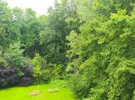 Pause nature