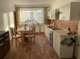 Apartment Světlá