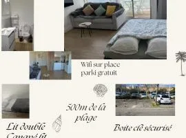 Joli appart Carnon parking Free, wifi 7Min Airport