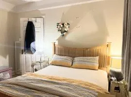 Spacious room in House