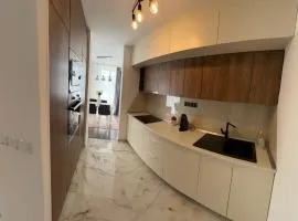 Apartment Gusinjac