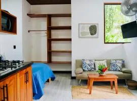 Modern studio , at cocles Beach front
