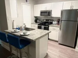 Apartment in Medical Center near NRG Free Parking