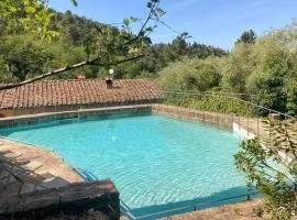 Pet Friendly Home In Castelfranco Piandiscó