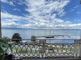 Appartement moderne près des thermes avec balcon et animaux admis - FR-1-498-68