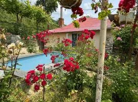 Friendly Cottage with small Pool