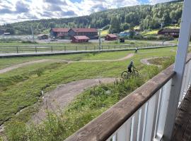 Kungsberget - Verandan Hus B, family hotel in Järbo