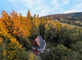 Pohorska Gozdna Vila