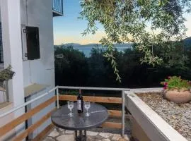 Lemon Tree House
