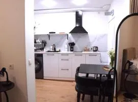 furnished apartment in the heart of Tbilisi