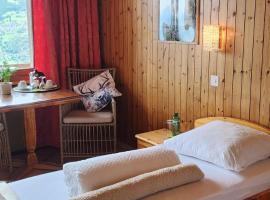 One-Room Zeneggen, Dorfstrasse 112, hotel v destinaci Arni Alp