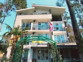 Home Shekvetili
