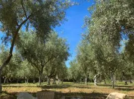 Casa vacanze Etna