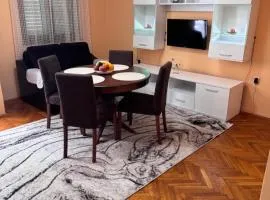 Apartments Damjan
