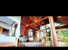 Wooden studio gem