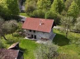 Apartment Olga