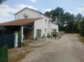 La maison des pins
