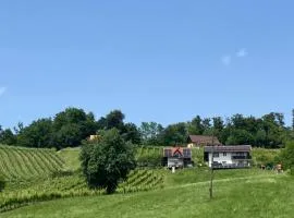 Kozjanski odklop