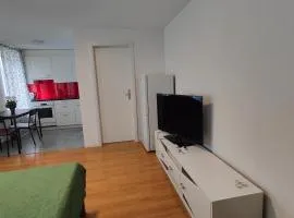 Apartment Buchental , Ruhig und zentral in St Gallen