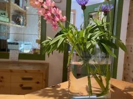 Fedaia Joy B&B