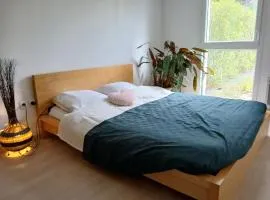 Le Cosy avec jardin terrasse couverte et parking gratuit