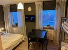 Central apartment close to city, campus, hospital