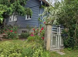 Chalet aux 2 sapins