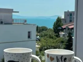 The better apartment