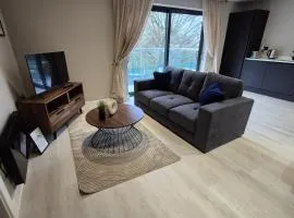 23 Lux stylish 2 bed 2 bath with balcony NEC n12