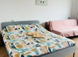 Žaliakalnio panoramos apartamentai