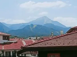 Lara's cosy apartment 200 m from lift