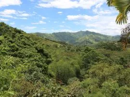 FINCA SAN JAVIER GREAT FARM WITH HORSES AND POOl