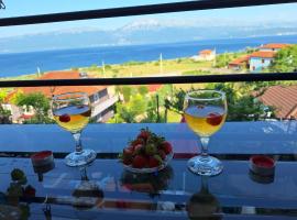 Taku Villa Wonderful view of Lake Ohrid, Villa in Udënisht