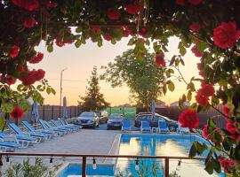 Vila Andra, отель в Костинешти