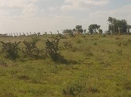 Juja Farm Doubles, hotell i Juja