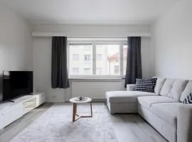 Vuokrakaista Premium Studio City Center 44m2 1-3person Free parking