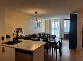 Beautiful and Cosy Downtown Condo with free underground parking