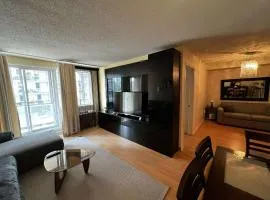 Beautiful and Cosy Downtown Condo with free underground parking