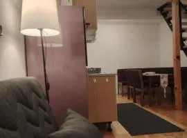 Studio Apartman Lenka
