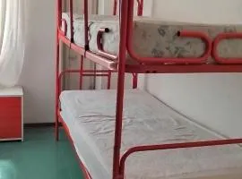 La regina 11