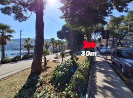 Apartmani Kojovic, hotel din Igalo