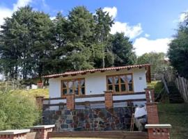 Hermosa Cabaña en San Pedro Atlapulco, lodge in San Pedro Atlapulco