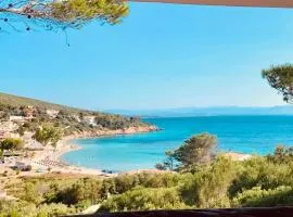 Suite Maladroxia